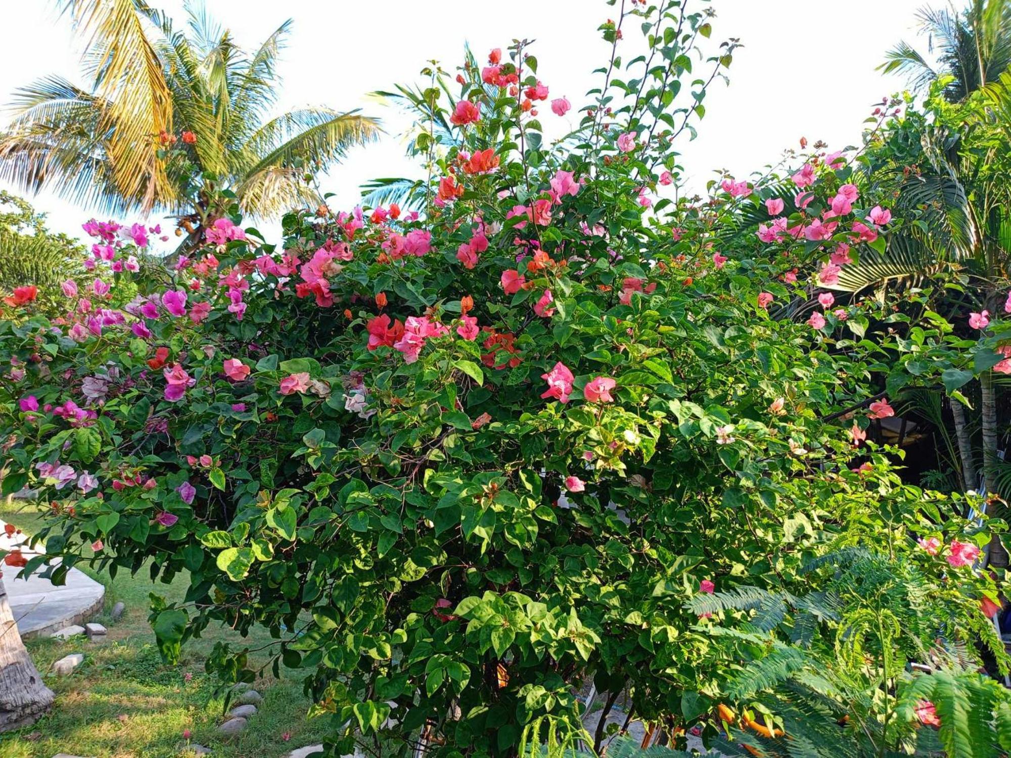 Bintang Tiga Bungalows Gili Air Eksteriør billede
